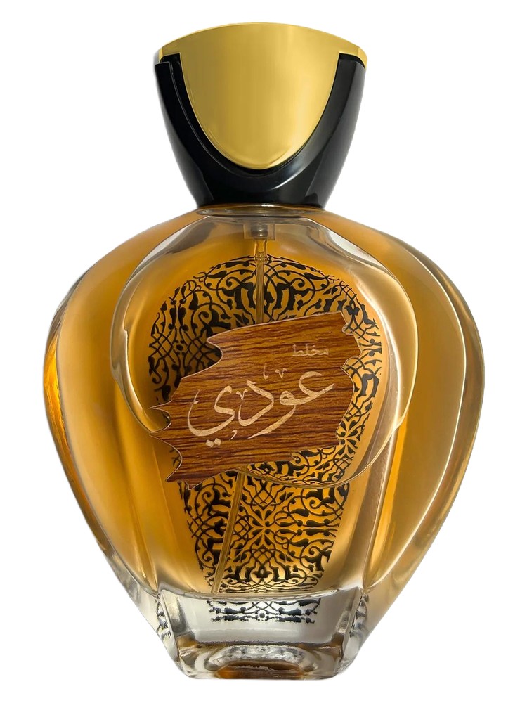 Oudi – AMD Perfumes
