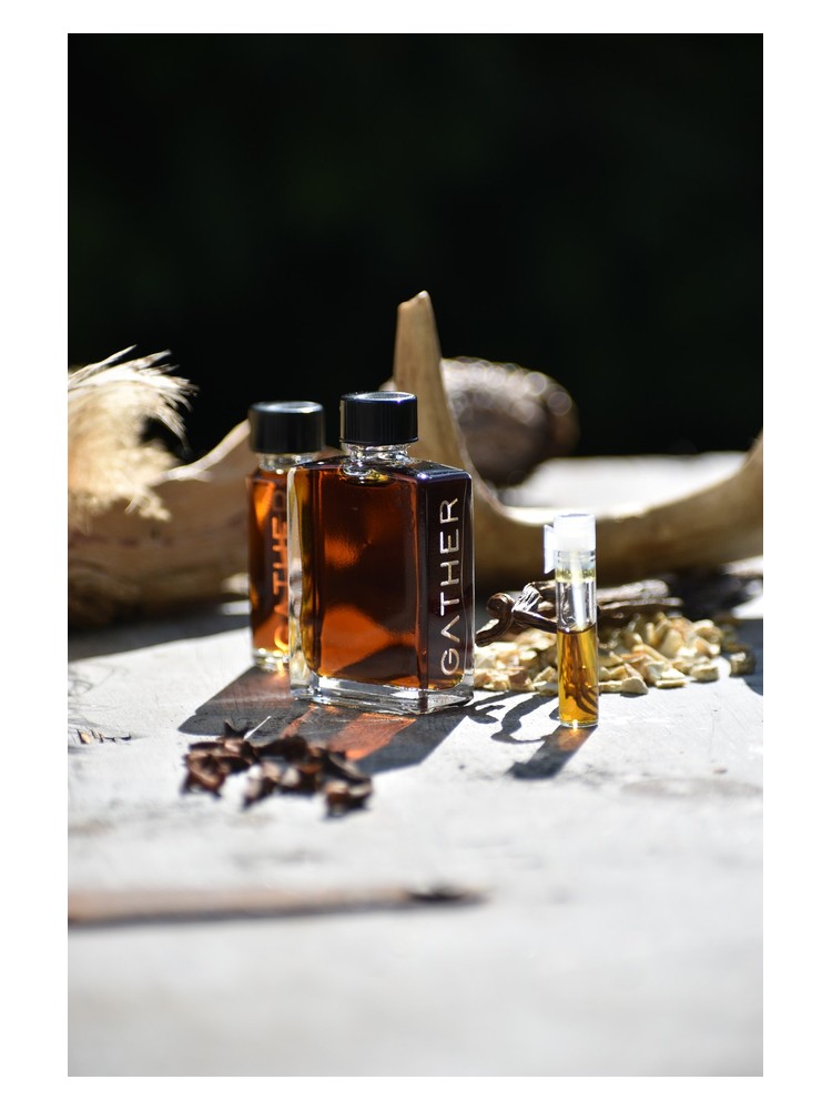 Shakti – Gather Perfume