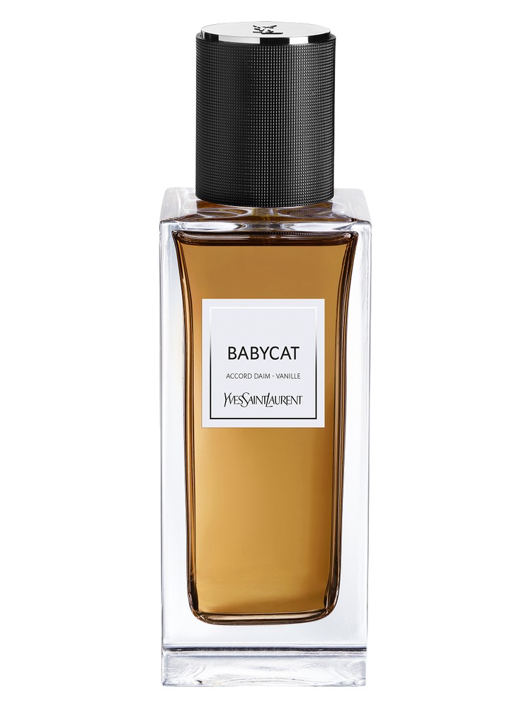 Babycat – Yves Saint Laurent
