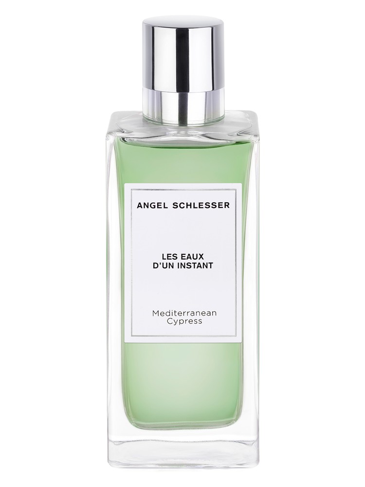 Mediterranean Cypress – Angel Schlesser