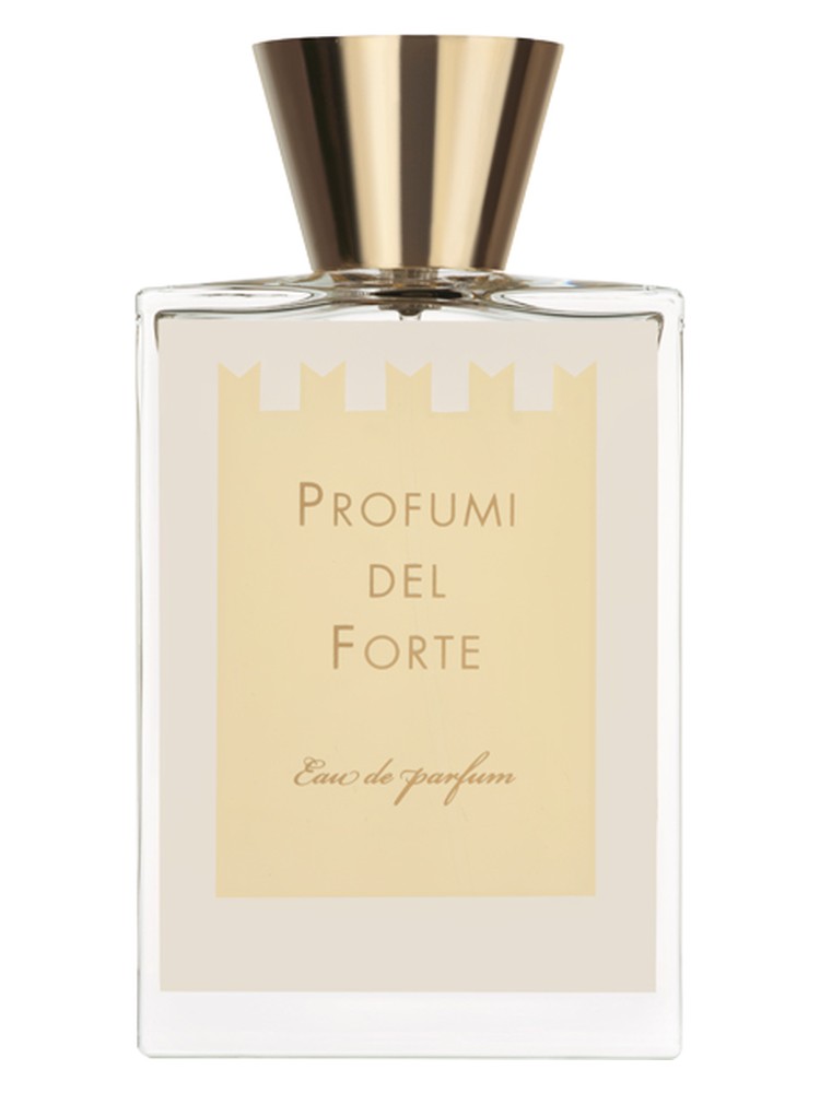 Ambra Mediterranea (Versilia Vintage Ambra Mediterranea) – Profumi del Forte