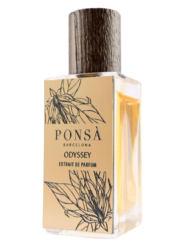 Odyssey – Ponsa