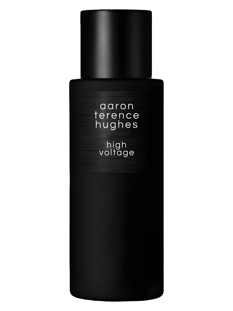 High Voltage – Aaron Terence Hughes