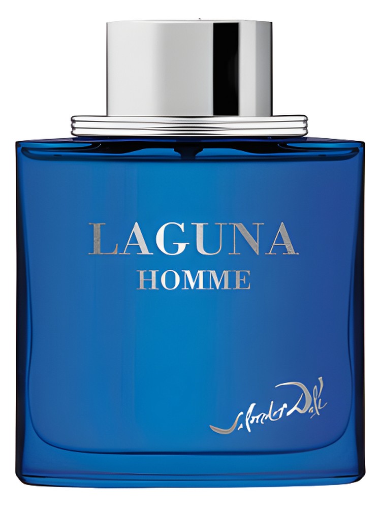 Laguna Homme – Salvador Dali