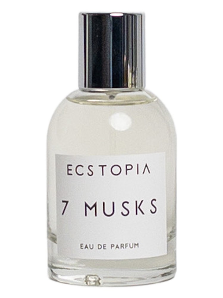 7 Musks – Ecstopia