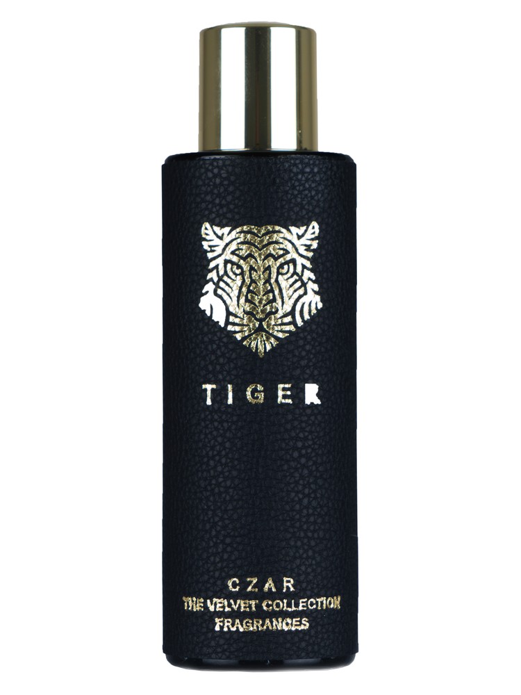 Tiger X Aslan Gülçiçek – CZAR
