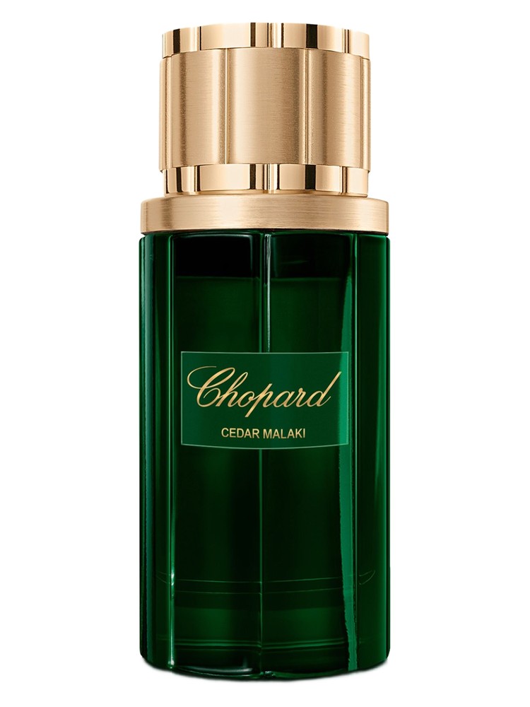 Cedar Malaki – Chopard