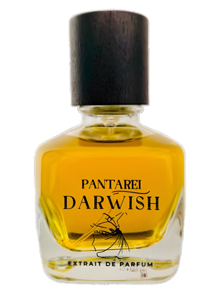 PantaRei Darwish – PantaRei