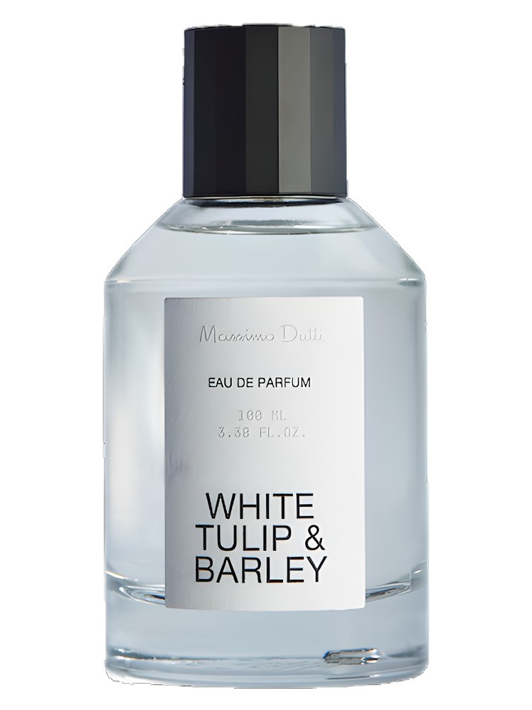 White Tulip & Barley – Massimo Dutti