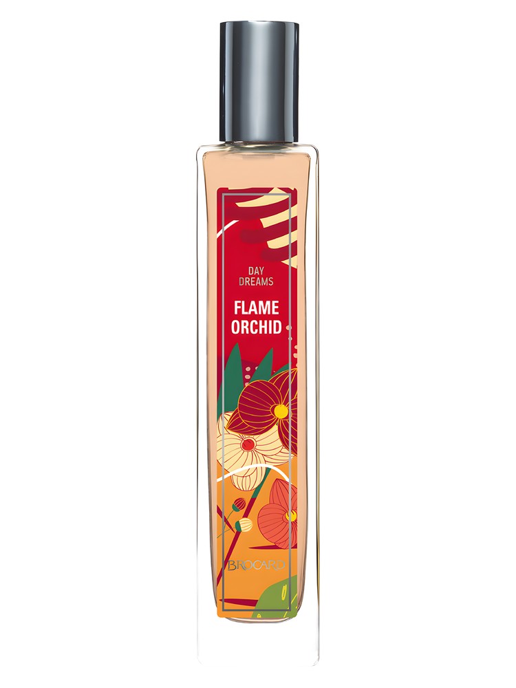 Flame Orchid – Brocard