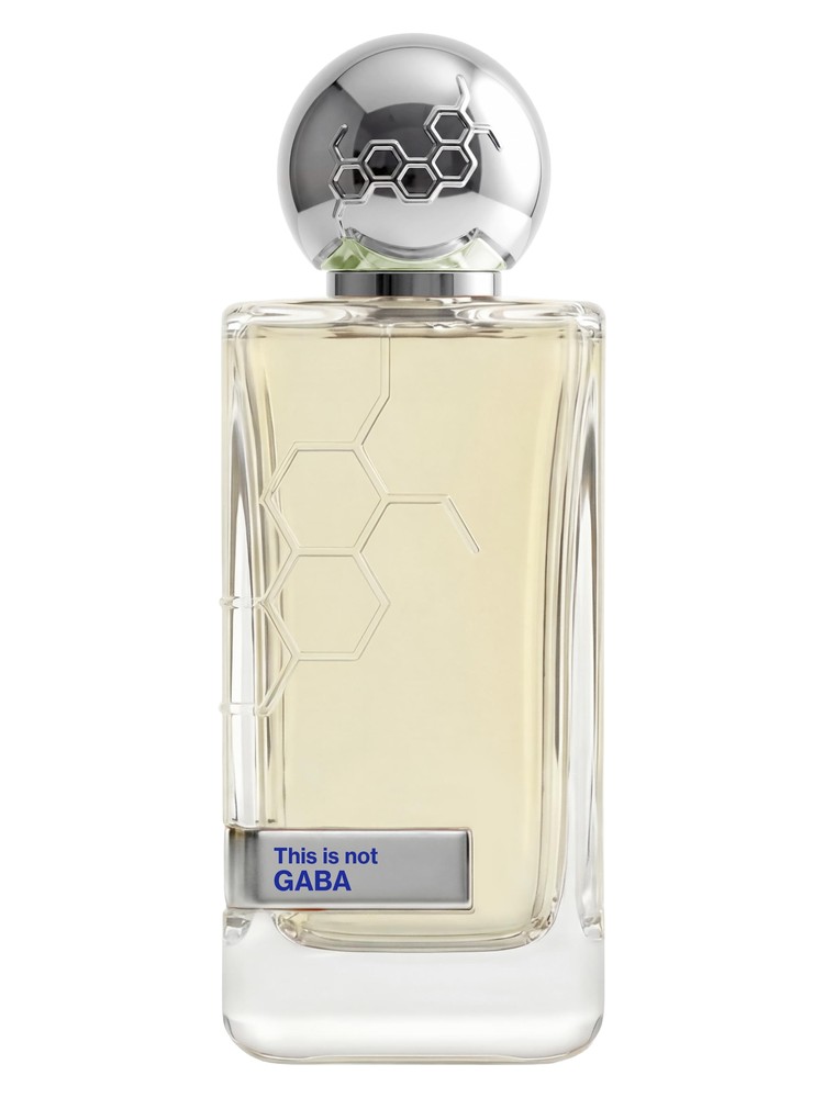 This is Not GABA – Hormone Paris