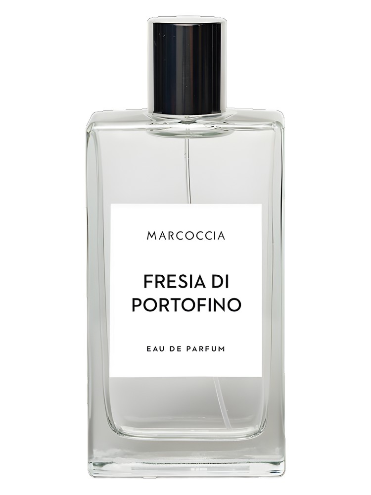 Fresia di Portofino – Marcoccia