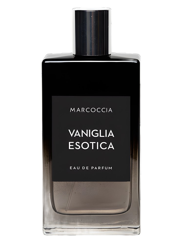 Vaniglia Esotica – Marcoccia