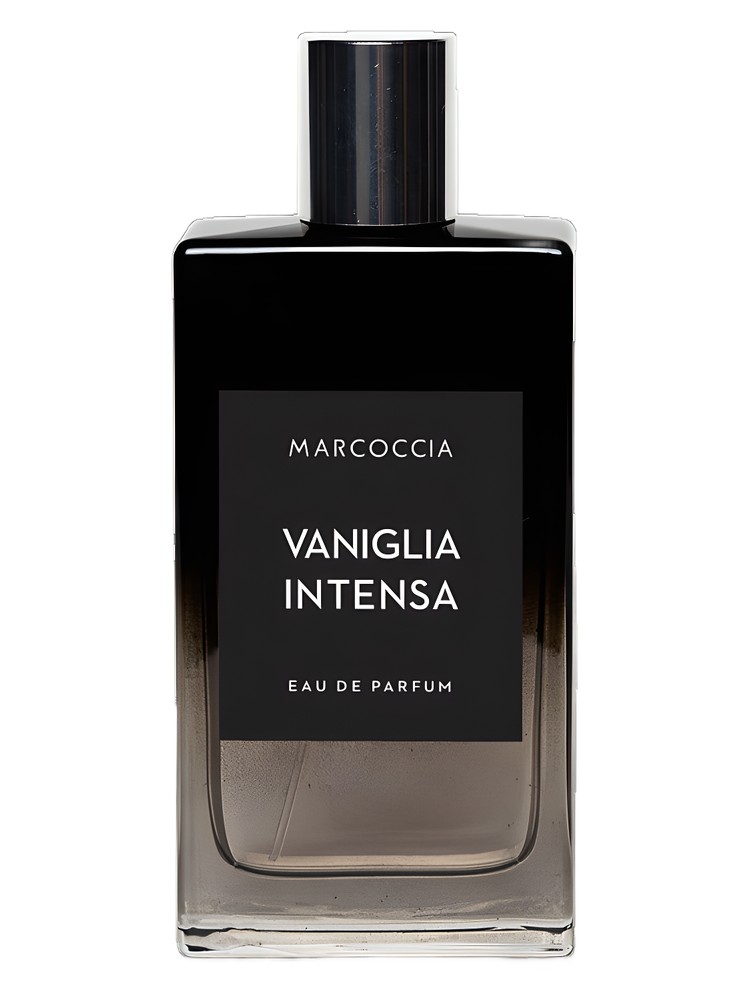 Vaniglia Intensa – Marcoccia