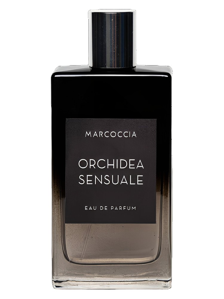 Orchidea Sensuale – Marcoccia