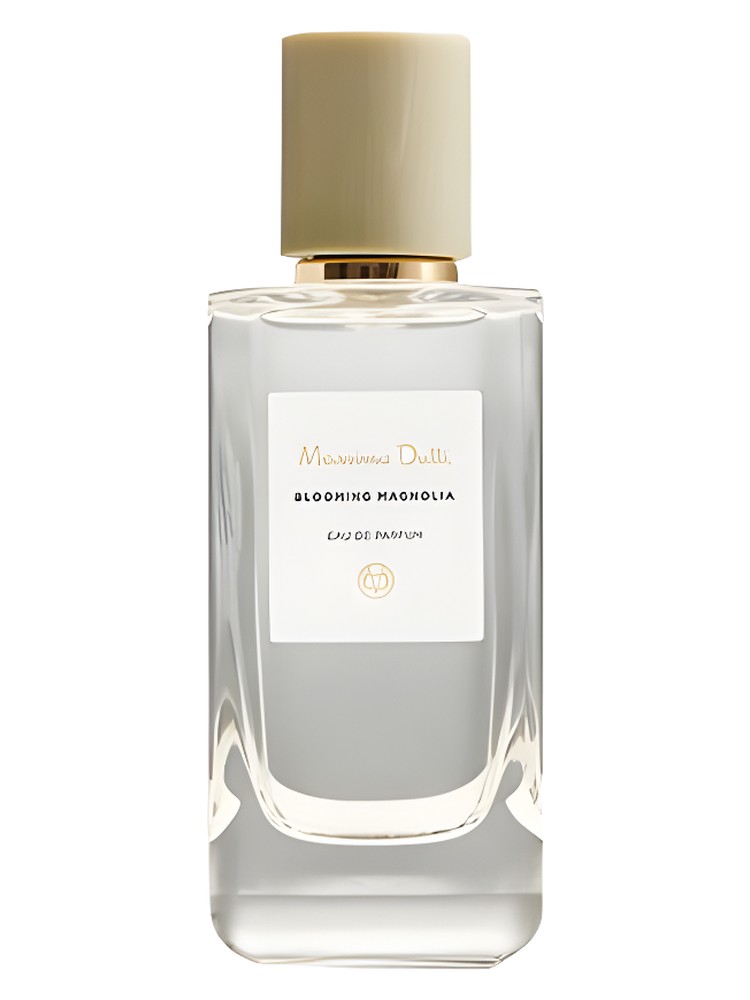 Blooming Magnolia – Massimo Dutti