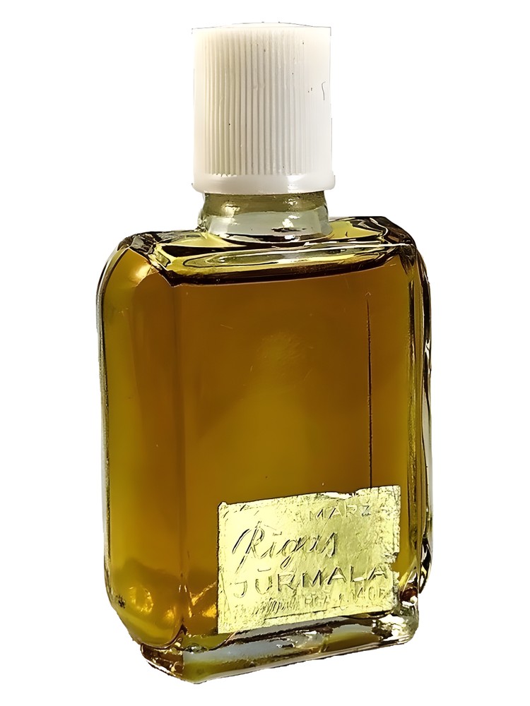 Rīgas Jūrmala (Рижское Взморье) – Dzintars