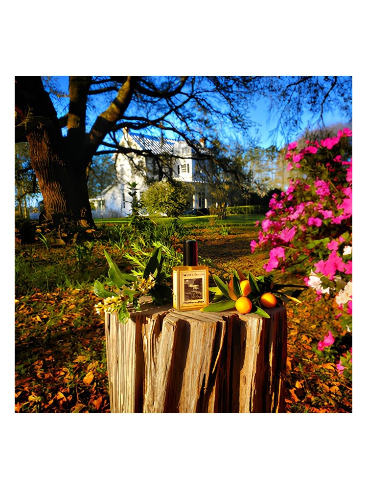 Solstice Scents Farmhouse In Spring