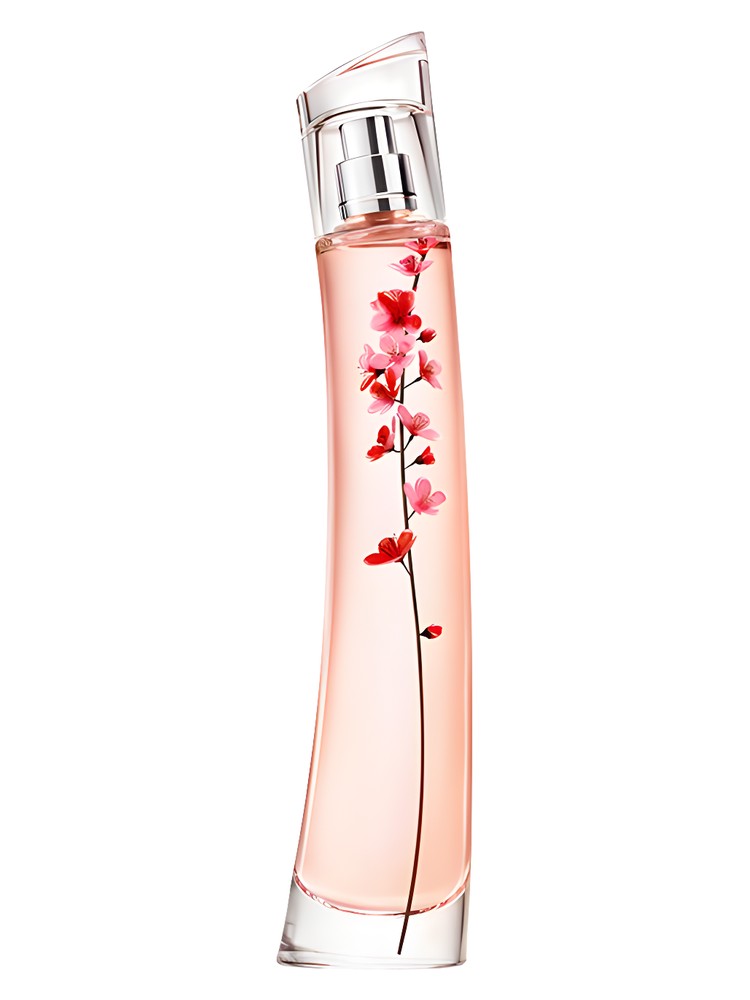 Flower Ikebana Sakura – Kenzo