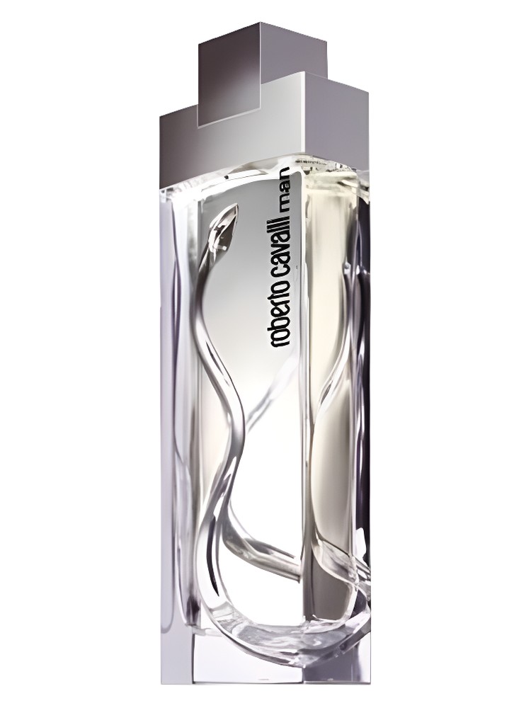 Roberto Cavalli Man – Roberto Cavalli
