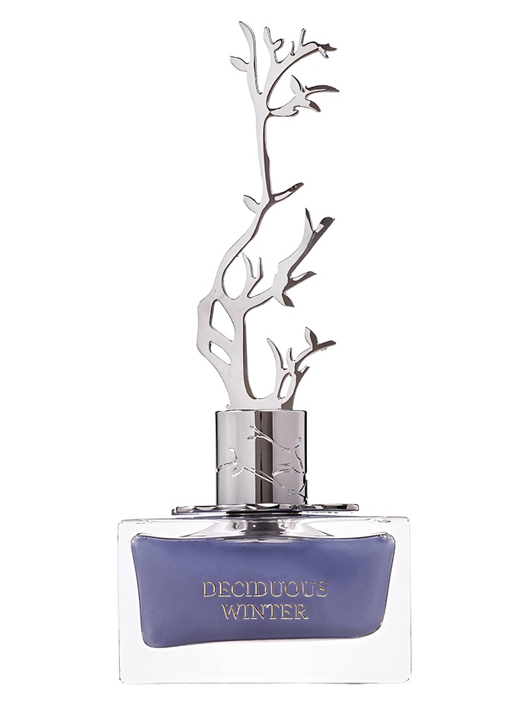 Deciduous Winter – Aurora Scents