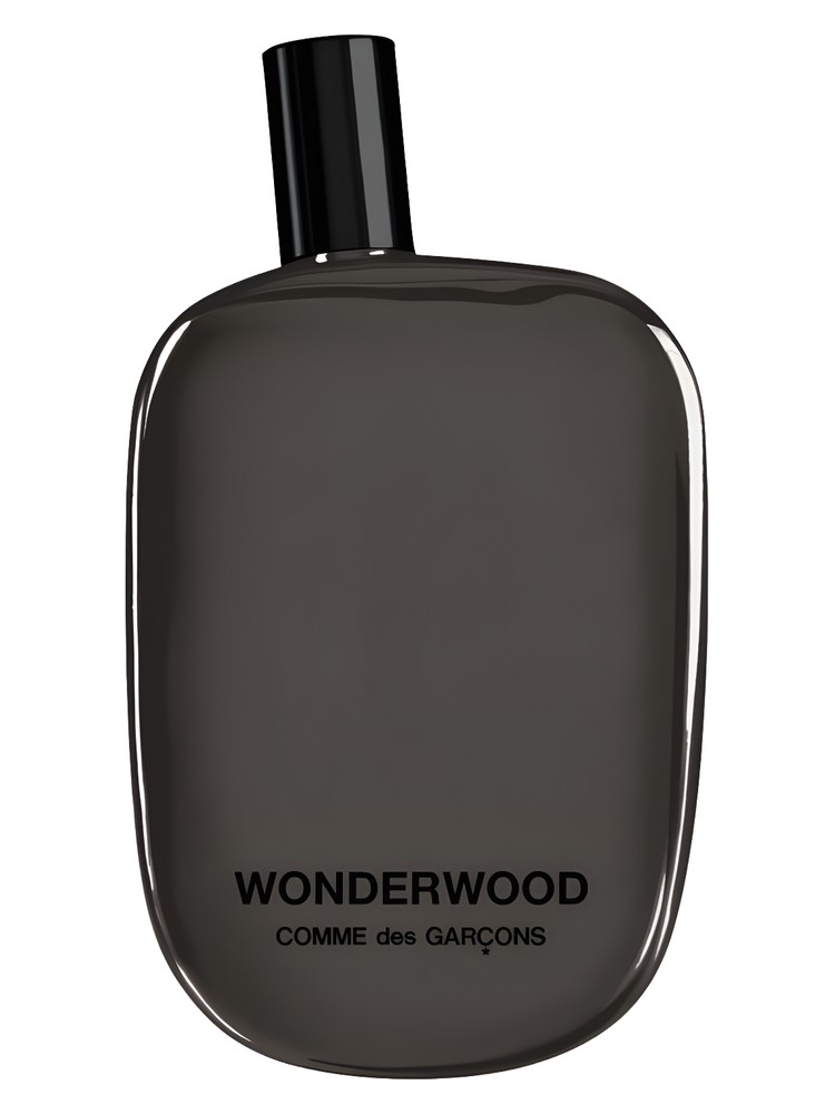 Wonderwood – Comme des Garcons