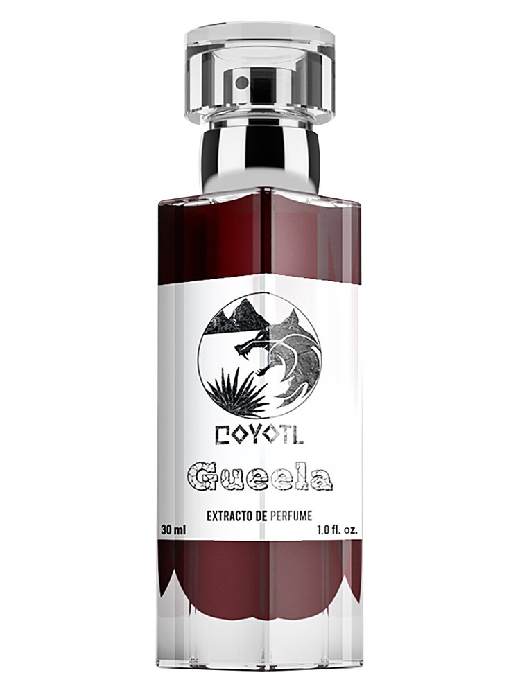 Gueela – Coyotl