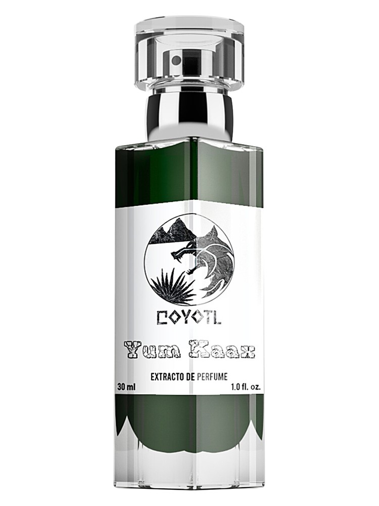 Yum Kaax – Coyotl