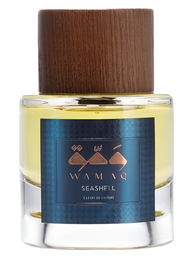 Seashell – WAMAQ