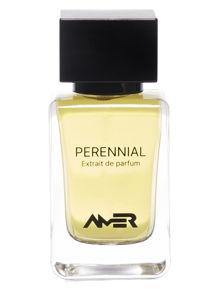 Perennial – Amer Perfumes