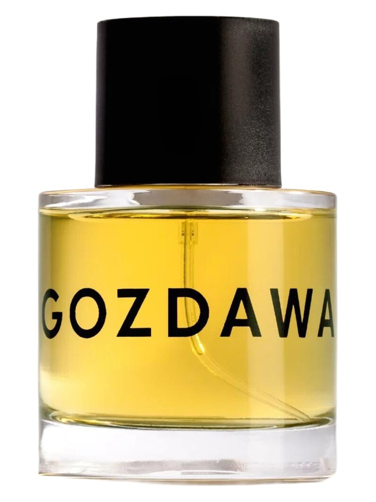 Andrea – House of Gozdawa