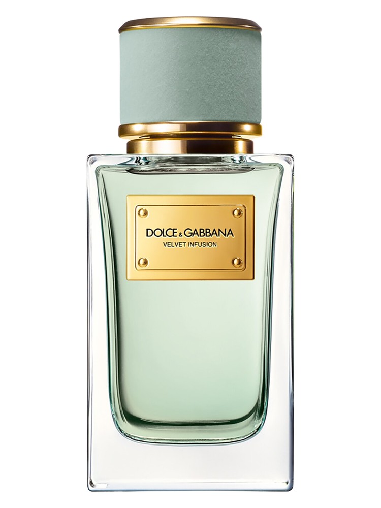 Velvet Infusion – Dolce&Gabbana