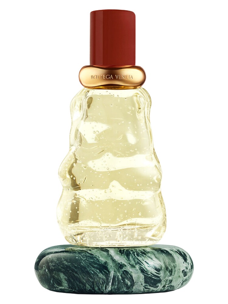 Come with Me – Bottega Veneta