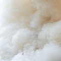Steam Accord