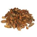cocoa shell