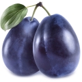 Chinese Plum