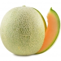 Italian Melon
