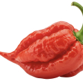Ghost Pepper