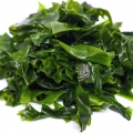 Seagrass