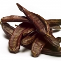 Carob tree