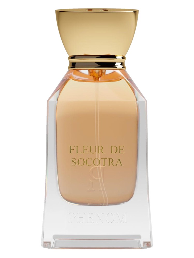 Fleur de Socotra – Phenom
