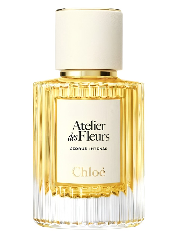 Cedrus Intense – Chloé