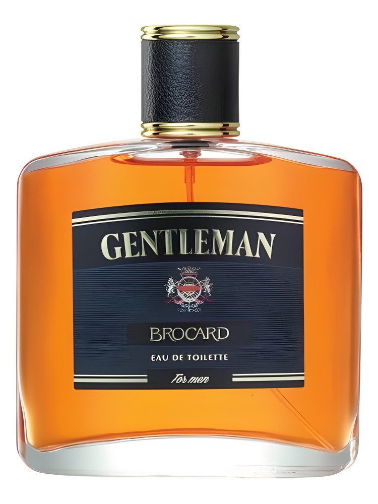 Gentleman – Brocard