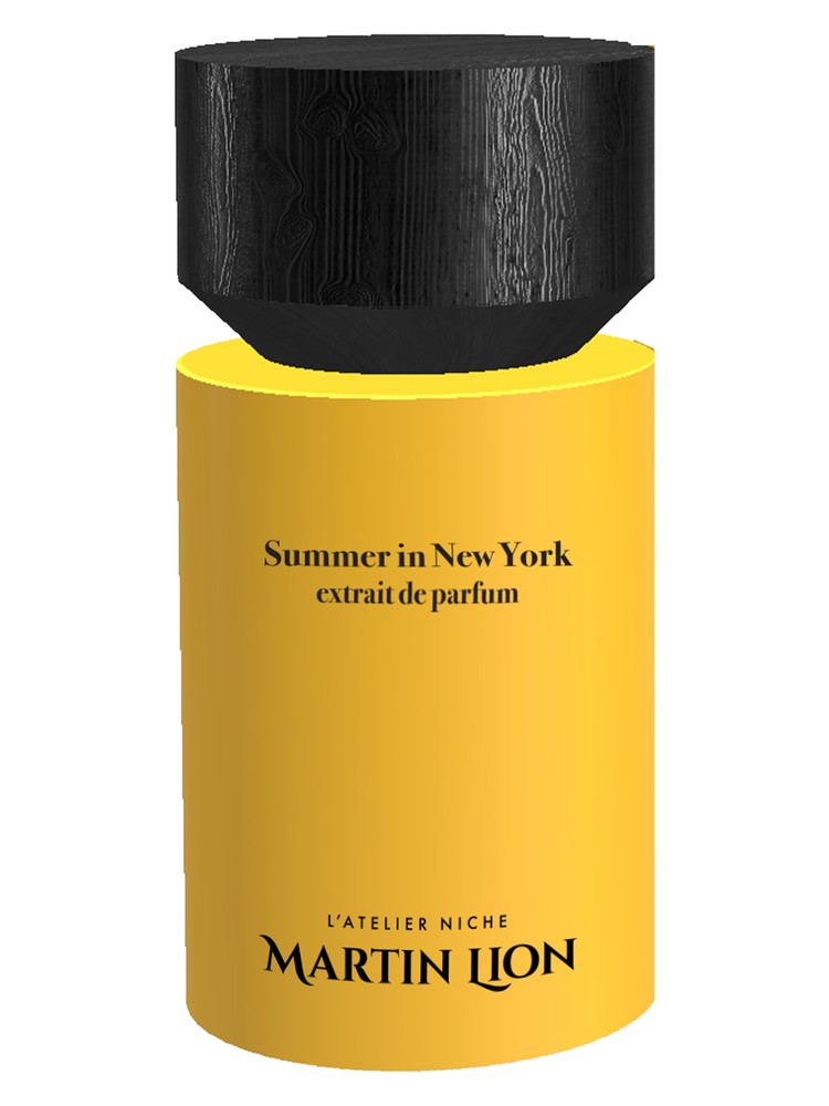 Summer in New York – Martin Lion