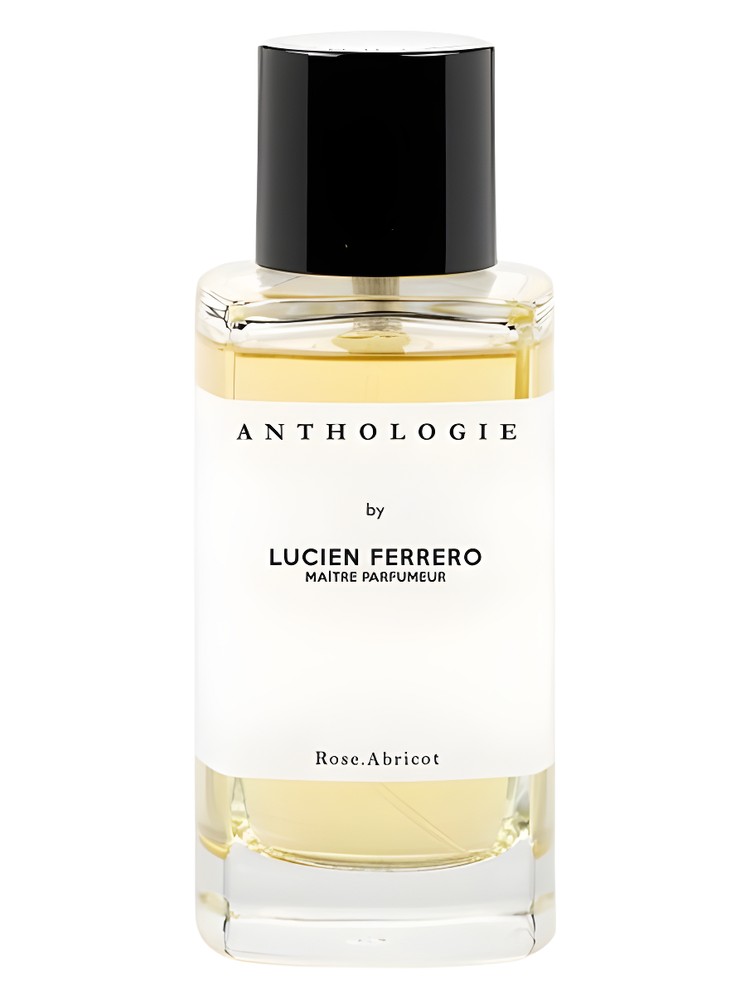 Rose Abricot – Anthologie