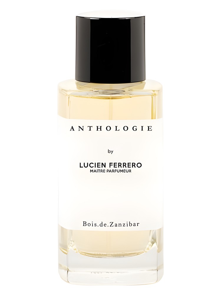 Bois.de.Zanzibar – Anthologie