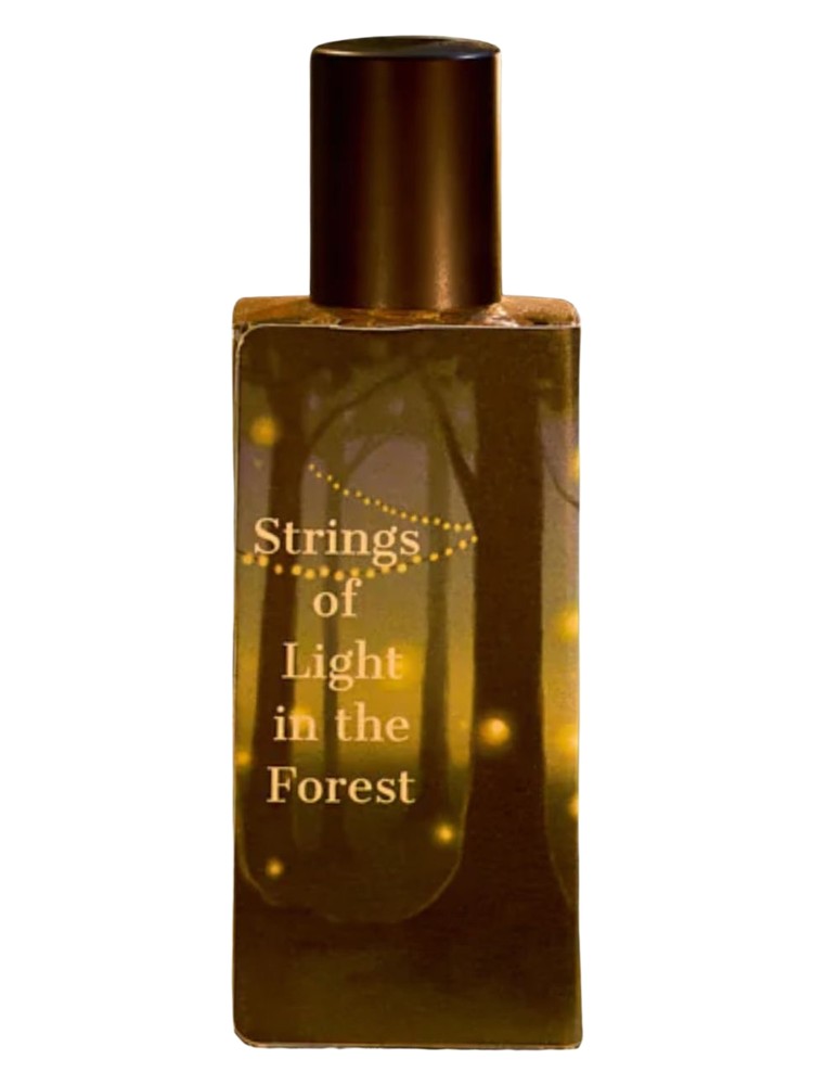Sorce Strings of Light in the Forest