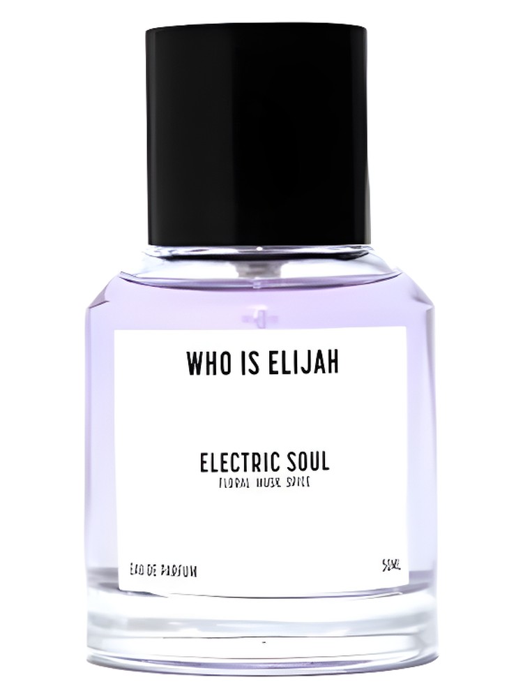 Electric Soul – Who is Elijah