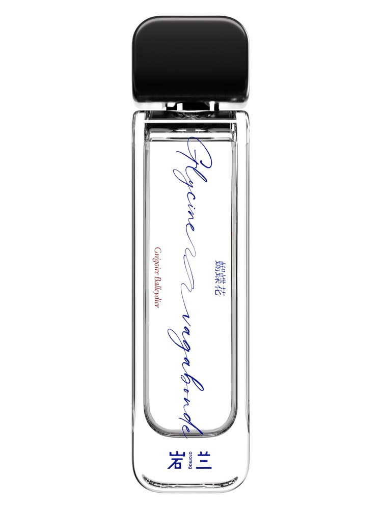 Glycine Vagabonde 蝴蝶花 – Aromag 岩兰