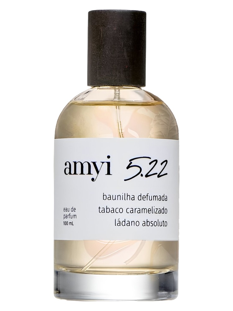 Amyi 5.22 – Amyi